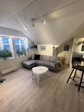 Cozy apartment on the hill
